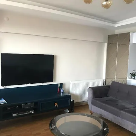 Syonte Lift Apartment *